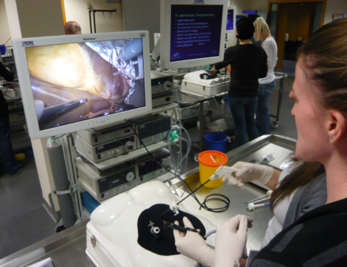 Progressive Skills In Veterinary Laparoscopy And Thoracoscopy Course 9486